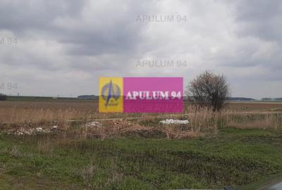 Teren Construcții intravilan de 5110 mp, în 1 Decembrie - 29