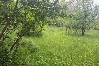 Teren Construcții intravilan de 1585 mp, în Cornu - 4