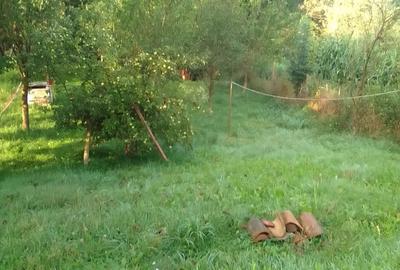 Vand casa la tara in zona Fagaras - 7