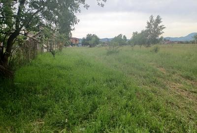 Teren Construcții intravilan de 10500 mp, în Exterior Nord