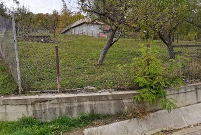 Teren de 1600 mp, în Provița de Sus - 1