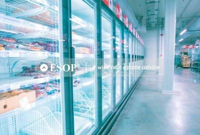 Spațiu comercial, de 2,200 mp, în Chitila