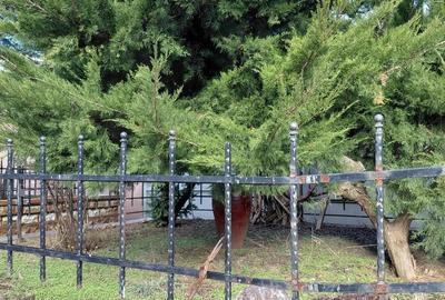 Casă cu 8 camere cu Teren 776 Mp în Central - 9