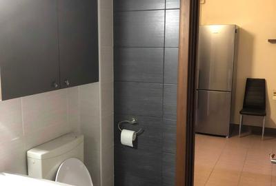 Garsonieră semidecomandată în Dosu Bricii - 7