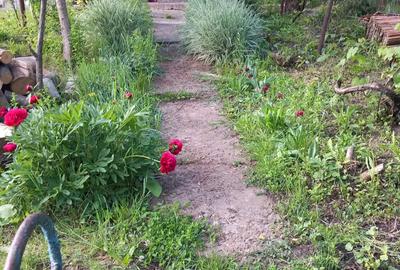 Casa batraneasca - 5