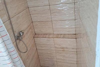 Vand casa in com. Loamnes sat Alamor(Sibiu) - 6