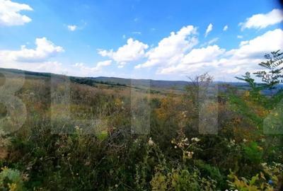 Teren de 5800 mp, în Central