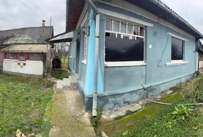 Casă cu Teren 700 Mp în Bozânta Mică