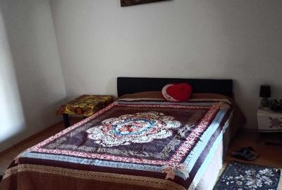 COLENTINA RAU BACILA  ANL- LANGA PARC, MC DONALDS - 4