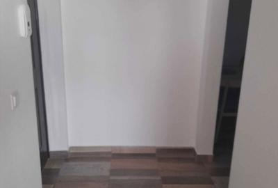 Apartament cu 2 camere decomandat în Sub Arini - 8
