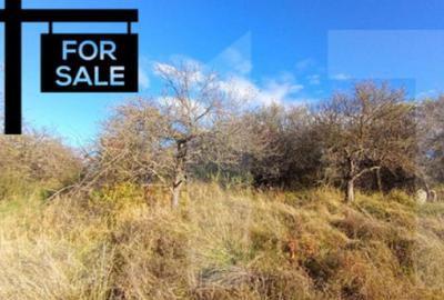 Teren de 1000 mp, în Feleacu