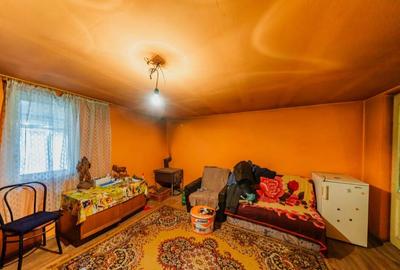 De vanzare casa in Sanicolaul Mic, Ara - 2