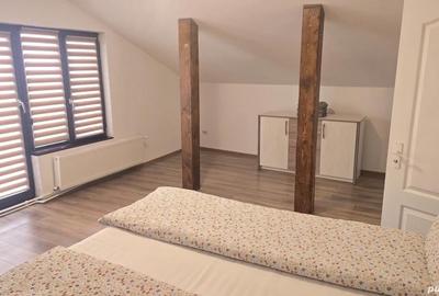 Apartament cu 2 camere decomandat în Viile Noi - 11