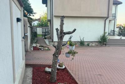 Casa S+P+1 252mp utili, 585 mp teren, zona Lapu? - 3