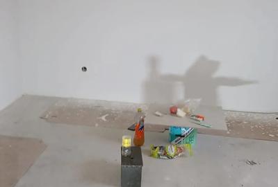 2 case P+ 1 de vanzare - 5