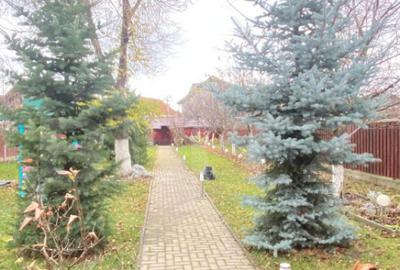 Casa superba de vanzare, in Sanpetru 1000 mp teren, la - 13