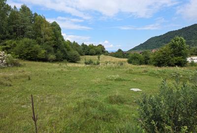 Teren Glajerie - 1