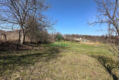 Teren de 8131 mp, în Băile Govora - 6