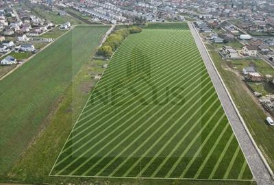 Teren de 300 mp, în Berceni - 2