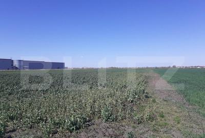 Teren cu suprafa?a de 3 ha, front 52 m, zona Calea Aradulu - 1