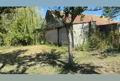 Vand casa in satul brestea - 10
