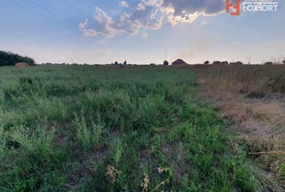 Teren Construcții intravilan de 622 mp, în Chișoda - 9