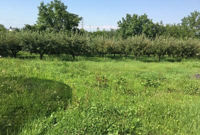 Spațiu comercial, în Războieni - 4