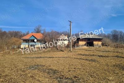 Casă cu 2 camere cu Teren 10076 Mp în Morăști - 2