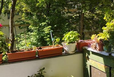 Apartament cu 3 camere decomandat în Gheorgheni - 3