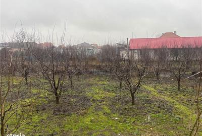 Casă cu 3 camere cu Teren 988 Mp în Sântandrei - 10