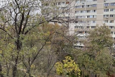 Dristor -10 minute metrou ,la 3 minute de parc Ior Dristor -10 minute metrou ,la 3 minute de parc Ior - 11