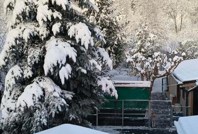 Casă cu 6 camere cu Teren 2000 Mp în Brănești - 17