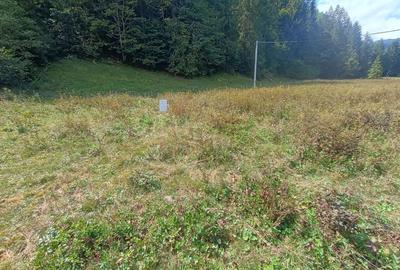 Spațiu comercial, în Petrești - 7