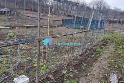 Casă cu 1 camere cu Teren 400 Mp în Bosanci - 9