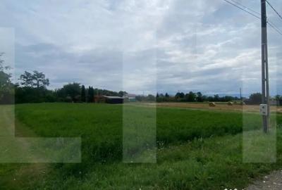 Teren de 1080 mp, în Dobolii de Jos - 1