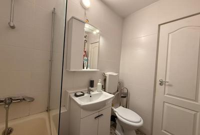 Apartament cu 2 camere semidecomandat, mobilat în Iosefin - 15
