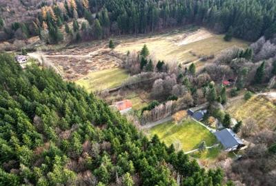 Teren intravilan 2000 mp în Vulcan BV – Oază de liniște între pădure și lacuri - 6