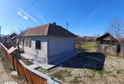 Casă cu 4 camere cu Teren 1770 Mp în Ciorani - 2