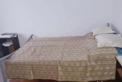 Apartament cu 2 camere decomandat în Botizului - 8