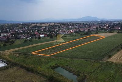 Posibilitate RATE | Teren Bod | curti constructii | utilitati | PUZ, - 7