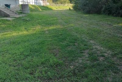 Casă cu 2 camere cu Teren 5400 Mp în Valea Lungă - 6
