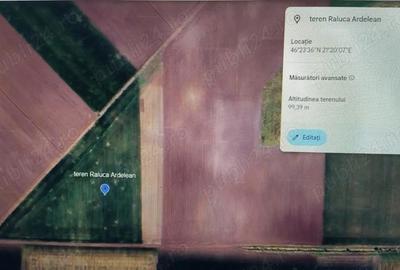 Spațiu comercial, în Macea - 2