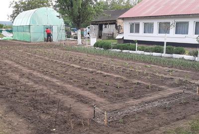 Casă cu 4 camere în Zimnicea - 2