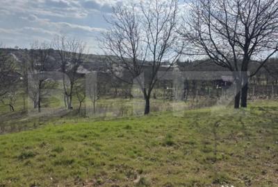 Teren în Central - 5