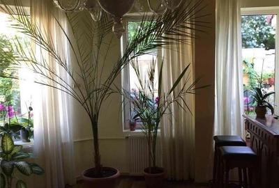 Casă cu 8 camere cu Teren 400 Mp în Central - 1