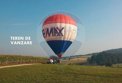 Teren Construcții intravilan de 10000 mp, în Sud - 7