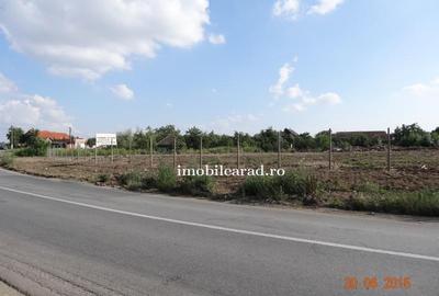Teren construcție, în Sânnicolau Mic - 14