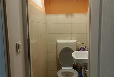 Apartament cu 4 camere decomandat, mobilat în Parcul Circului - 4