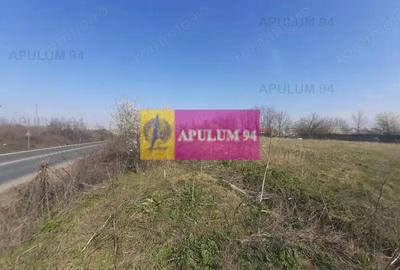 Teren de 4800 mp, în Glina