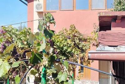 Casă cu 5 camere în Brănești - 7